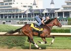 Borel: 'We're Going to Win' Belmont Stakes Borel: 'We're Going to Win' Belmont Stakes