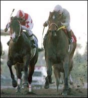 Nine is Fine With El Conejo Winner Kona Gold Nine is Fine With El Conejo Winner Kona Gold