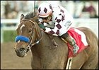 Jump On In, rallied to win Santa Ynez Stakes.