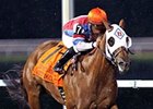 Groupie Doll flies home in the Presque Isle Downs Masters Stakes.