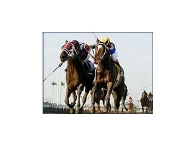 Doctor Decherd, right, with Shaun Bridgmohan on board, duels Itsallboutthechase to the wire to win the Aventura Stakes at Gulfstream Park.