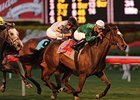 Tottie takes care of business in the Suwannee River.<br><a target="blank" href="http://www.bloodhorse.com/horse-racing/photo-store?ref=http%3A%2F%2Fpictopia.com%2Fperl%2Fgal%3Fprovider_id%3D368%26ptp_photo_id%3D8781831%26ref%3Dstory">Order This Photo</a>