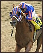 Saratoga Notebook: Attendance, Handle Off; Frankel, Bailey Roll On Saratoga Notebook: Attendance, Handle Off; Frankel, Bailey Roll On