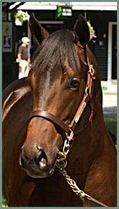 Unbridled's Song colt brought $1-million at Thursday's closing session.
