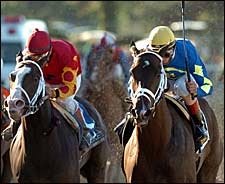 Ashado Bounces Back Into Winner's Circle Ashado Bounces Back Into Winner's Circle