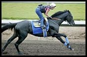 War Emblem Breezes; Door 'Slightly Open' for Travers War Emblem Breezes; Door 'Slightly Open' for Travers