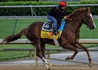 Dullahan works April 28 at Churchill Downs