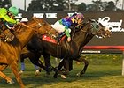 Unusual Suspect (center) gets up in time to win the Hollywood Turf Express.