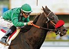 Graded Winner Truly a Judge Retired Graded Winner Truly a Judge Retired
