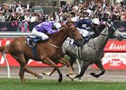 Theseo Wins Crown Mackinnon Stakes Theseo Wins Crown Mackinnon Stakes