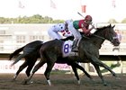 Pennsylvania Derby winner Anak Nakal headlines the Hal's Hope.