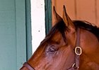 Alternation at Pimlico