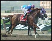 Left Bank Seeks Second Grade I Win in Cigar Mile Left Bank Seeks Second Grade I Win in Cigar Mile