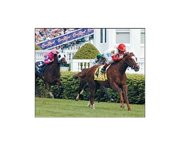 Virginia Derby contender Kitten's Joy, winning the Crown Royal American Turf.
