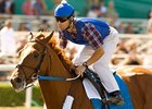 Heavy favorite Curlin drew post 9 in the Breeders' Cup Classic.<br><a target="blank" href="http://www.bloodhorse.com/horse-racing/photo-store?ref=http%3A%2F%2Fpictopia.com%2Fperl%2Fgal%3Fprovider_id%3D368%26ptp_photo_id%3D6330612%26ref%3Dstory">Order This Photo</a>