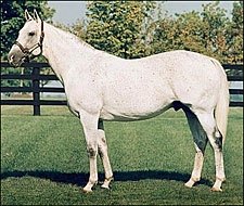 El Prado's Fee Jumps to $100,000 El Prado's Fee Jumps to $100,000