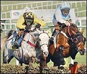 Hardy Eustace Upsets Rooster Booster at Cheltenham Hardy Eustace Upsets Rooster Booster at Cheltenham