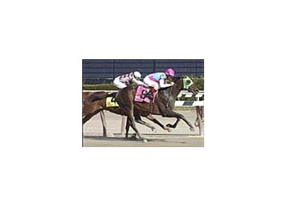 Jockey Jerry Bailey rides Empire Maker to victory past Funny Cide in the 79th Wood Memorial.