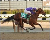 New Farm, Perkins Earn Second Stakes Win of Weekend with Forest Heiress New Farm, Perkins Earn Second Stakes Win of Weekend with Forest Heiress