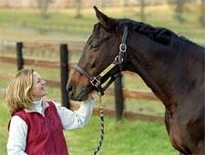 King's Swan, the 'King of Aqueduct,' Dies at 26 King's Swan, the 'King of Aqueduct,' Dies at 26