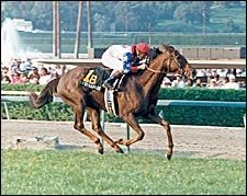 Champion Estrapade Dies at Age 25 Champion Estrapade Dies at Age 25