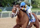 Todd Pletcher-trained Lawyer Ron wins the Oaklawn Handicap April 7. <br><a target="blank" href="http://www.bloodhorse.com/horse-racing/photo-store?ref=http%3A%2F%2Fpictopia.com%2Fperl%2Fgal%3Fprovider_id%3D368%26ptp_photo_id%3D979417%26ref%3Dstory">Order This Photo</a>