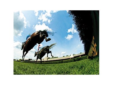 Steeplechase racing at Saratoga.
<br><a target="blank" href="http://photos.bloodhorse.com/AtTheRaces-1/at-the-races-2011/22481627_FSTnzm#!i=2215229928&k=9XQzRmM">Order This Photo</a>