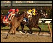 Summer Colony Continues Streak in Ladies Handicap Summer Colony Continues Streak in Ladies Handicap