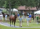 OBS Sale