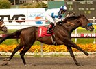 Twirling Candy wins the Californian Stakes.
<br><a target="blank" href="http://www.bloodhorse.com/horse-racing/photo-store?ref=http%3A%2F%2Fpictopia.com%2Fperl%2Fgal%3Fprovider_id%3D368%26ptp_photo_id%3D9551218%26ref%3Dstory">Order This Photo</a>