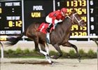 Miss Macy Sue<br><a target="blank" href="http://www.bloodhorse.com/horse-racing/photo-store?ref=http%3A%2F%2Fpictopia.com%2Fperl%2Fgal%3Fprovider_id%3D368%26ptp_photo_id%3D2266341%26ref%3Dstory">Order This Photo</a>