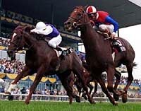 Riviera Holds Off Arkadian Hero in Atto Mile Riviera Holds Off Arkadian Hero in Atto Mile