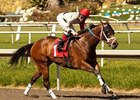 Tyler Baze Wins in Return at Hollywood Park Tyler Baze Wins in Return at Hollywood Park