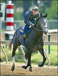 Senor Swinger Tops Virginia Derby Field Senor Swinger Tops Virginia Derby Field