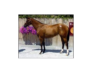 Fu Peg filly Call Collect was top seller on opening night of Fasig-Tipton Saratoga yearling sale.