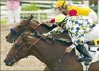 Salute the Sarge, inside, held off a storming Leonides to win the Hollywood Juvenile. Wednesday at Hollywood Park.<br><a target="blank" href="http://www.bloodhorse.com/horse-racing/photo-store?ref=http%3A%2F%2Fpictopia.com%2Fperl%2Fgal%3Fprovider_id%3D368%26ptp_photo_id%3D1609942%26ref%3Dstory">Order This Photo</a>