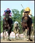 Came Home Ships In and Wins Hopeful Came Home Ships In and Wins Hopeful