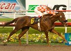 Briecat hopes to score her second consecutive Bayakoa Handicap victory.