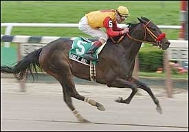 Shawklit Mint Wins 4th Straight in Vagrancy Shawklit Mint Wins 4th Straight in Vagrancy