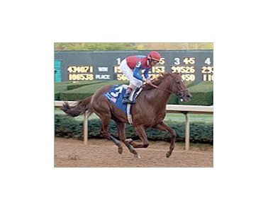 Peace Rules, in Suburban showdown with Funny Cide and Dynever.