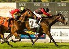 Acting Lady carries top weight in the Honeymoon Handicap.<br><a target="blank" href="http://www.bloodhorse.com/horse-racing/photo-store?ref=http%3A%2F%2Fpictopia.com%2Fperl%2Fgal%3Fprovider_id%3D368%26ptp_photo_id%3D7980575%26ref%3Dstory">Order This Photo</a>