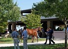 Keeneland September Yearling Sale