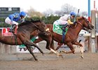 Jersey Town Scores 34-1 Cigar Mile Upset Jersey Town Scores 34-1 Cigar Mile Upset