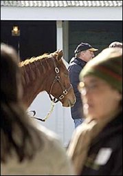 Keeneland January Mixed Sale Starts Monday Keeneland January Mixed Sale Starts Monday