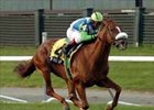 Showing Up shines in Jamaica win.<br><a target="blank" href="http://www.bloodhorse.com/horse-racing/photo-store?ref=http%3A%2F%2Fpictopia.com%2Fperl%2Fgal%3Fgallery_id%3D6823%26process%3Dgallery%26provider_id%3D368%26ptp_photo_id%3D599482%26sequencenum%3D%26page%3D">Order This Photo</a>