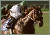 Del Mar Race Report (Cont.) Del Mar Race Report (Cont.)