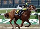 Desire to Excel Romps in Astoria at 24-1 Desire to Excel Romps in Astoria at 24-1