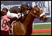 Adoration Wins Hollywood Breeders' Cup Oaks Adoration Wins Hollywood Breeders' Cup Oaks