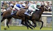 Elusive City's Richmond Stakes Victory Jeopardized Elusive City's Richmond Stakes Victory Jeopardized
