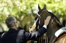 Lacking Derby, Preakness Winners, Belmont Shaping Up as Competitive Race Lacking Derby, Preakness Winners, Belmont Shaping Up as Competitive Race